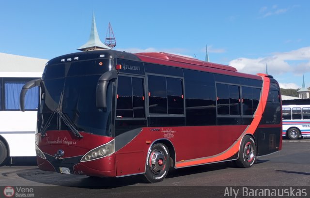 Transporte Mixto Chirgua 0009 por Aly Baranauskas