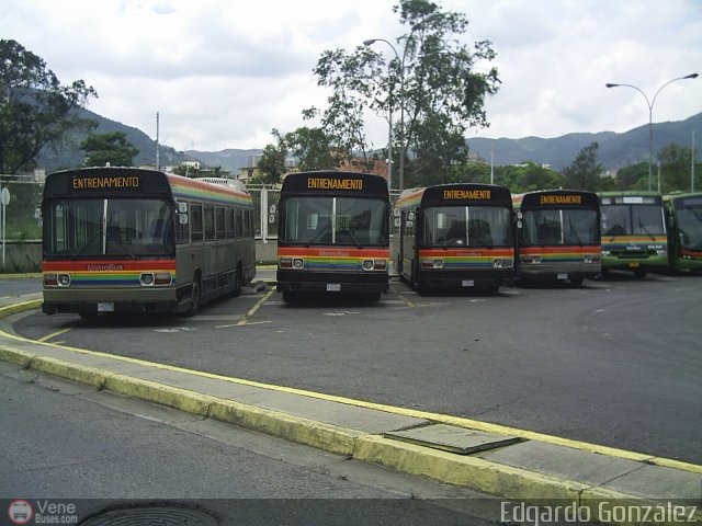 Metrobus Caracas 962 por Edgardo Gonzlez