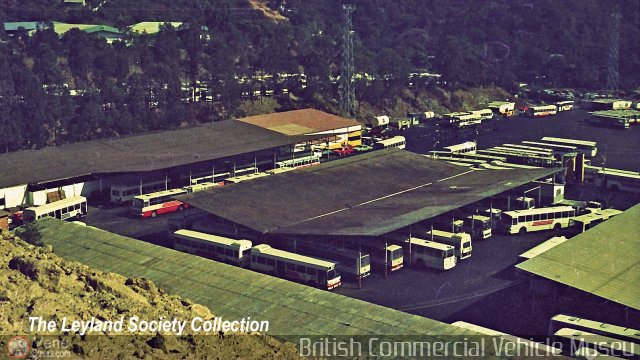 Instituto Municipal de Transporte Colectivo I.M.T.C._La Yaguara por Edgardo Gonzlez