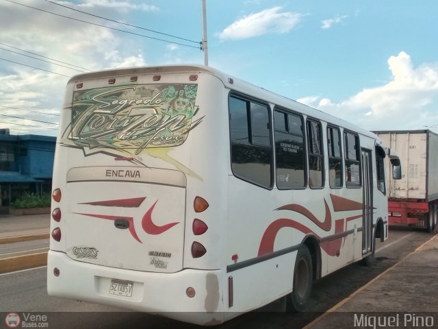 A.C. de Transporte Macizo Guayan�s 03 por Miguel Pino