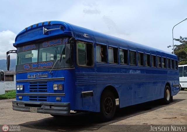 TA - L�nea El Valle 04 por Jerson Nova