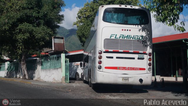 Expresos Flamingo 2020 por Pablo Acevedo