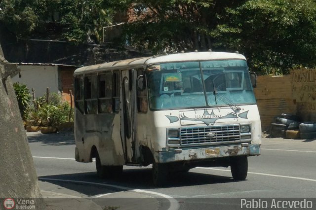 DC - Tigres de Plan de Manzano 084 por Pablo Acevedo