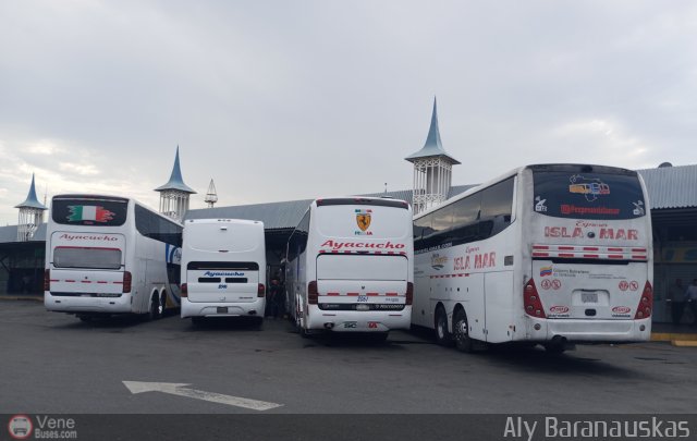 Garajes Paradas y Terminales San-Diego por Aly Baranauskas