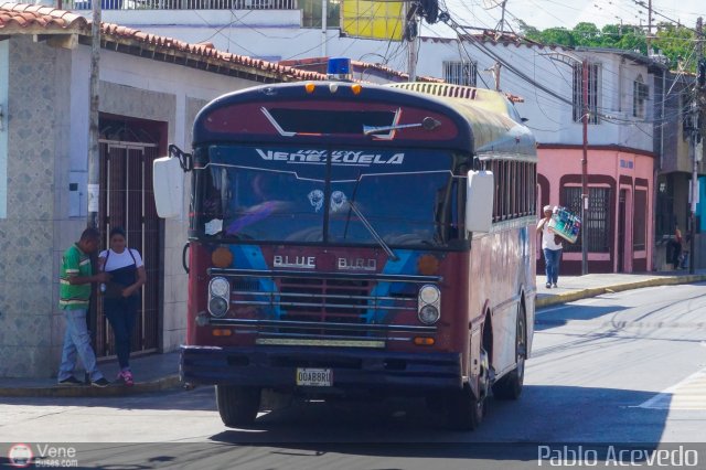 Uni�n Venezuela 95 por Pablo Acevedo