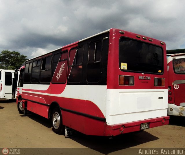 CA - Uni�n Caribe C.A. 22 por Andr�s Ascanio