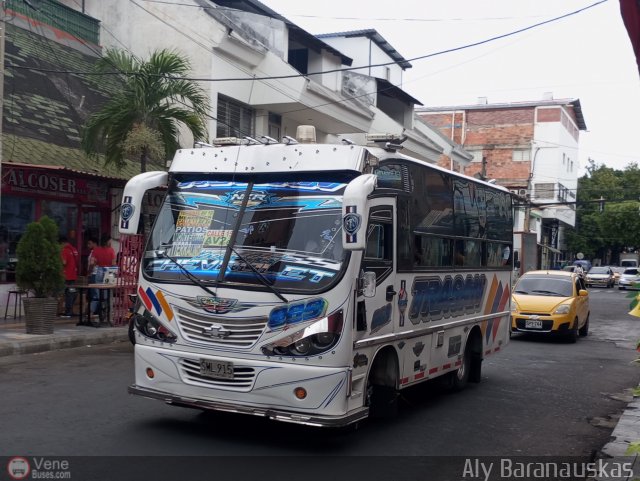 Transporte Trasan 889 por Aly Baranauskas