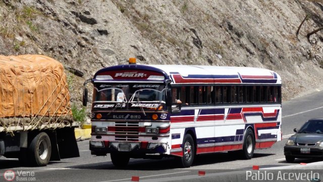 Expresos La Popular 25 por Pablo Acevedo