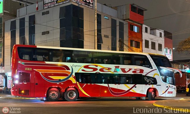 Expreso Selva 2030 por Leonardo Saturno