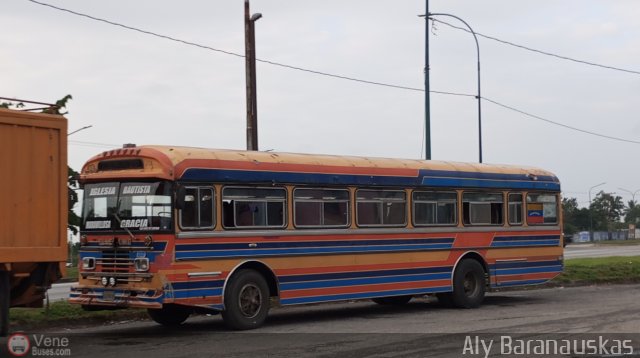 Particular 1000 por Aly Baranauskas