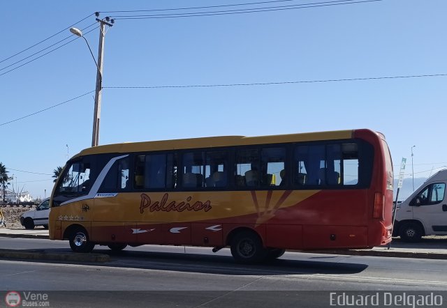 Buses Palacios 100 por Eduard Delgado