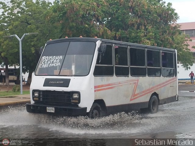 ZU - Colectivo Pomona 08 por Sebastin Mercado