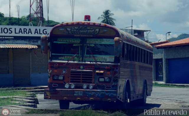 Uni�n Magdaleno A.C. 95 por Pablo Acevedo