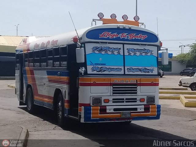 Colectivo San Rafael 27 por Abner Sarcos