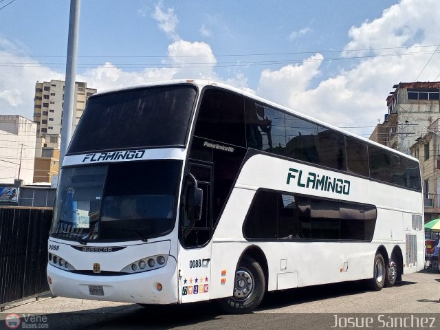 Expresos Flamingo 0088 por Josue Snchez