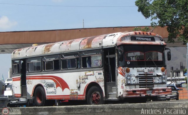 CA - Transporte Ma�ongo 12 por Andr�s Ascanio