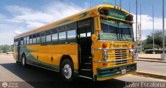 Particular 0019 por Numiskar Escalona