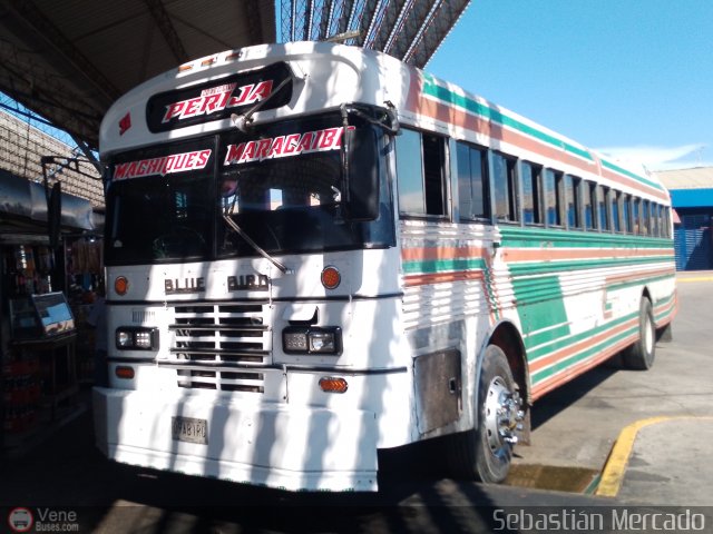 Colectivos Perij� 32 por Sebasti�n Mercado