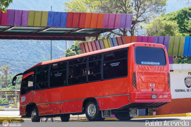 S.C. L�nea Transporte Expresos Del Chama 200 por Pablo Acevedo