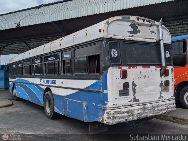 Transmara II El Mojn 12 por Sebastin Mercado