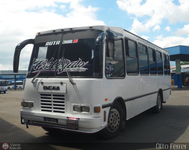 AR - Ruta Comunal Mario Brice�o Iragorry 057 por Otto Ferrer