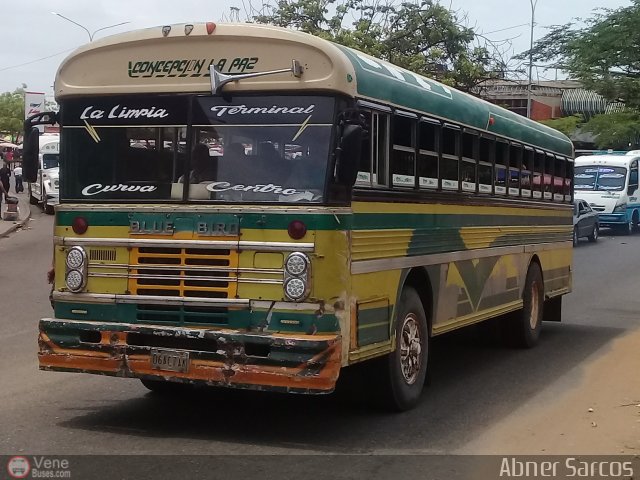 ZU - Colectivos Concepcin 071 por Abner Sarcos