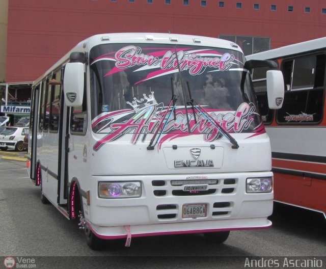 AR - Rosa M�stica de Cagua C.A. 37 por Andr�s Ascanio