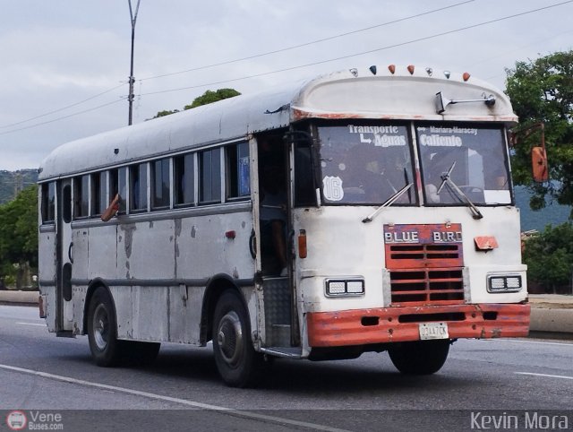A.C. Transporte Aguas Calientes 16 por Kevin Mora