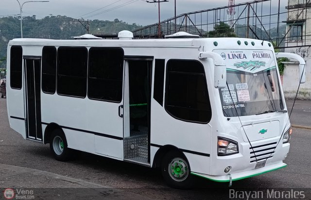 TA - A.C. Autos por puesto L�nea Palmira 040 por Jerson Nova