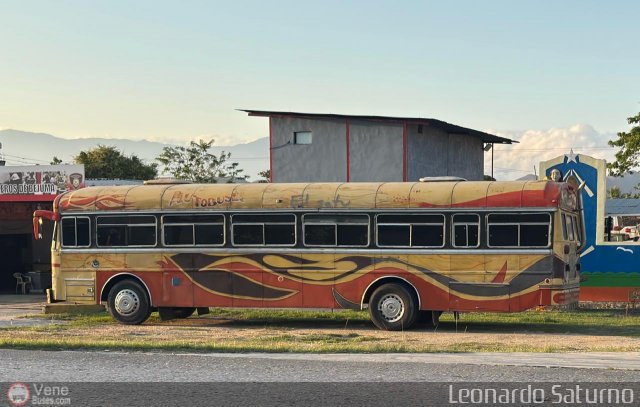 Transporte Guacara 0010 por Leonardo Saturno