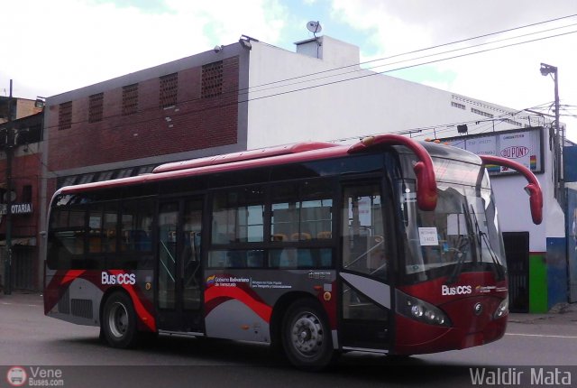 Bus CCS 1401 por Waldir Mata