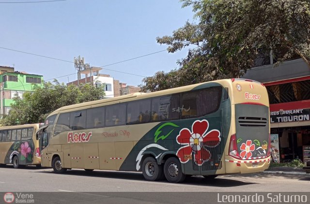 Transporte Flores Hermanos S.R.L 951 por Leonardo Saturno