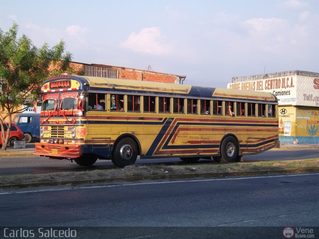 Transporte Guacara 0064 por Carlos Salcedo