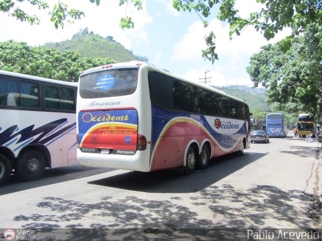 Expresos Occidente 169 por Pablo Acevedo