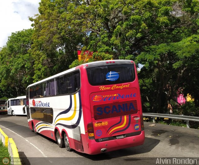 Expresos Occidente 189 por Alvin Rond�n