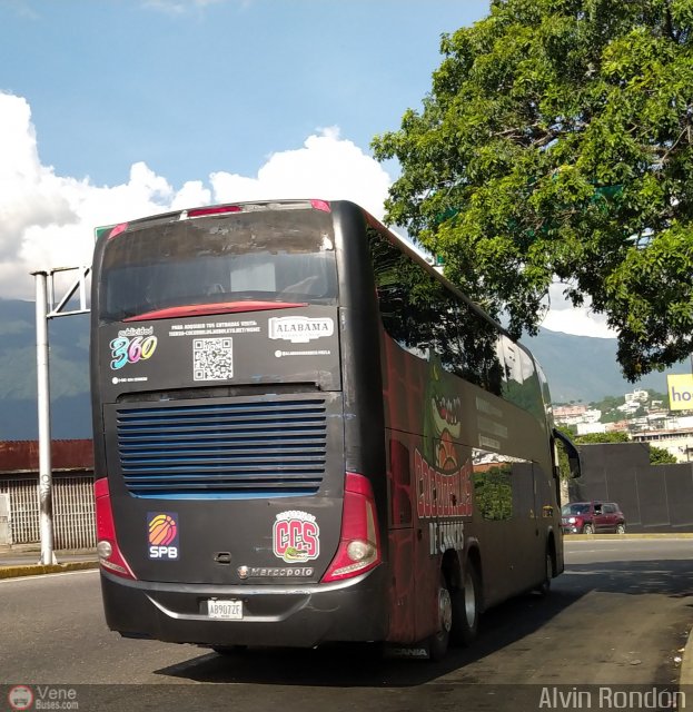 Cocodrilos de Caracas BBC 01 por Alvin Rondn