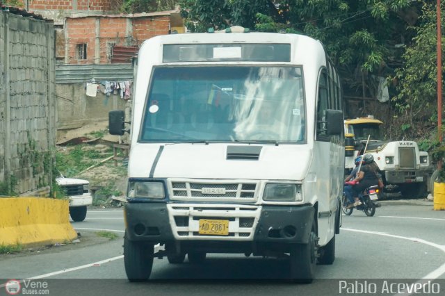 DC - Tigres de Plan de Manzano 198 por Pablo Acevedo