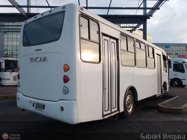 Organizacin Guaicamacuto 227 por Gabriel Vergara