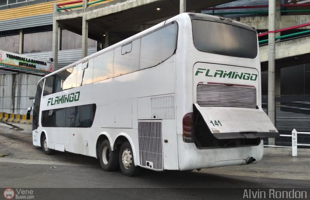 Expresos Flamingo 0141 por Alvin Rondn