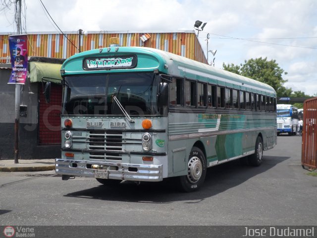 L�nea Los Humocaros 11 por Jos� Dudamel