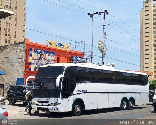 Expresos Pegamar 3001 por Josue Snchez