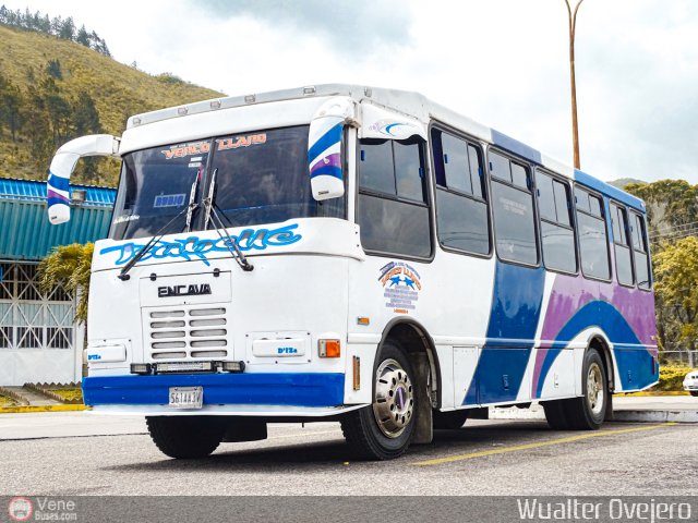 A.C. Transporte Vencollano 61 por Wualter Ovejero