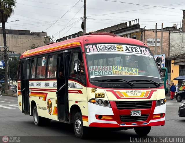 E.T. Las �guilas 75 S.A. - ETLA75SA 13 por Leonardo Saturno