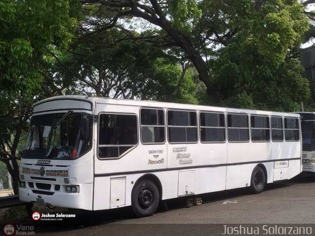 Uni�n Conductores Ayacucho 0001 por Joshua Sol�rzano