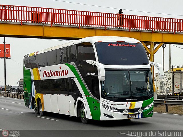 Expreso Internacional Palomino 8014 por Leonardo Saturno