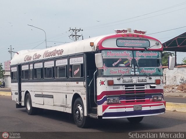 Expresos La Gran Colombia 19 por Sebastin Mercado
