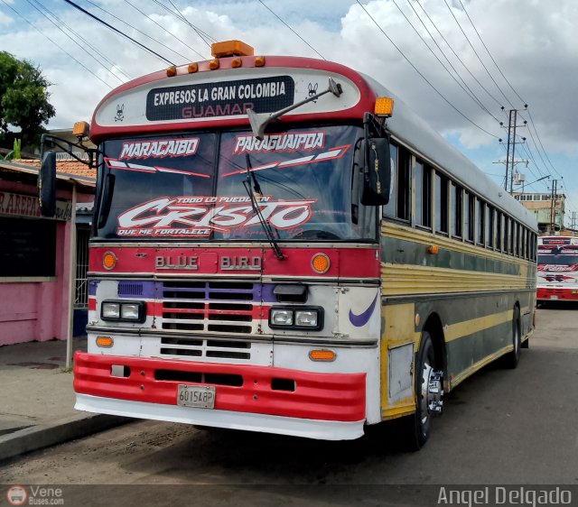 Expresos La Gran Colombia 37 por ngel Delgado