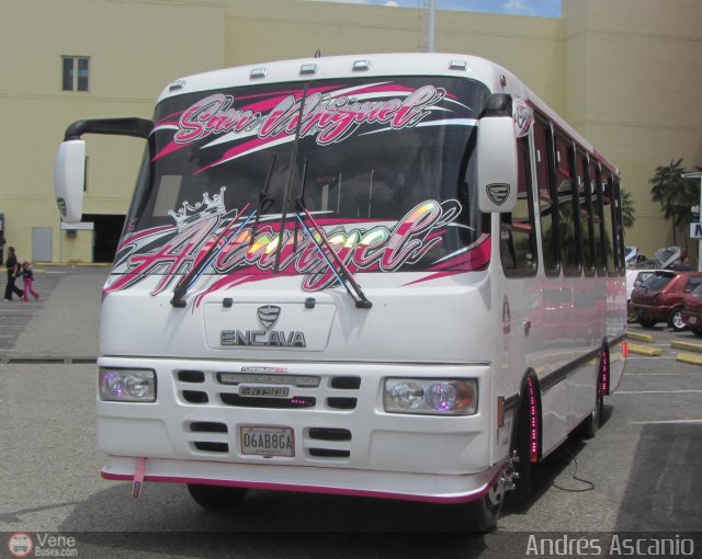 AR - Rosa M�stica de Cagua C.A. 37 por Andr�s Ascanio