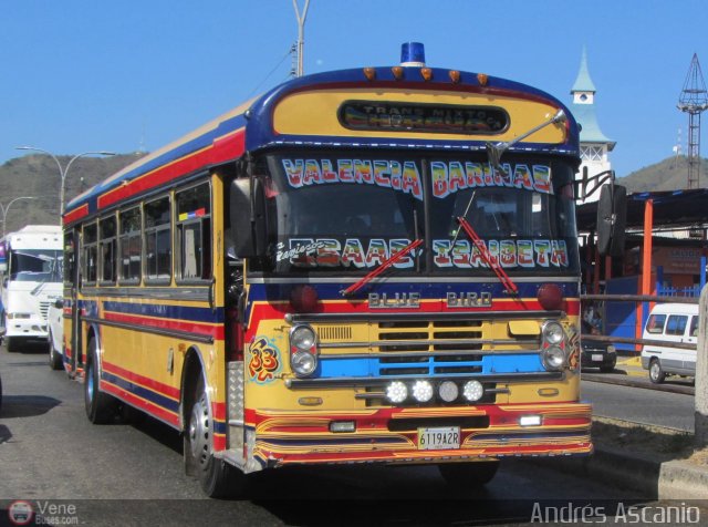 Transporte Mixto Chirgua 0033 por Andr�s Ascanio