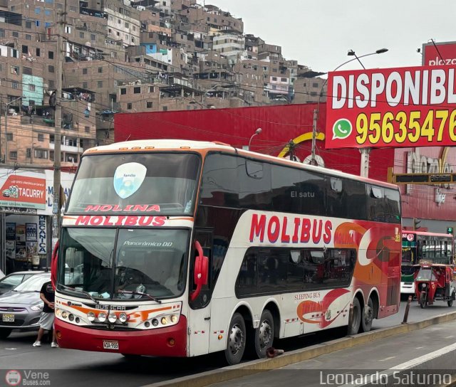Transportes y Servicios Molibus 955 por Leonardo Saturno
